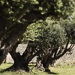 Canava Bonifacio